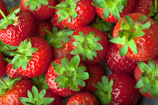 Strawberries XXXL Macro close-up of perfectly ripe strawberries healthy eating red above studio shot stock pictures, royalty-free photos & images