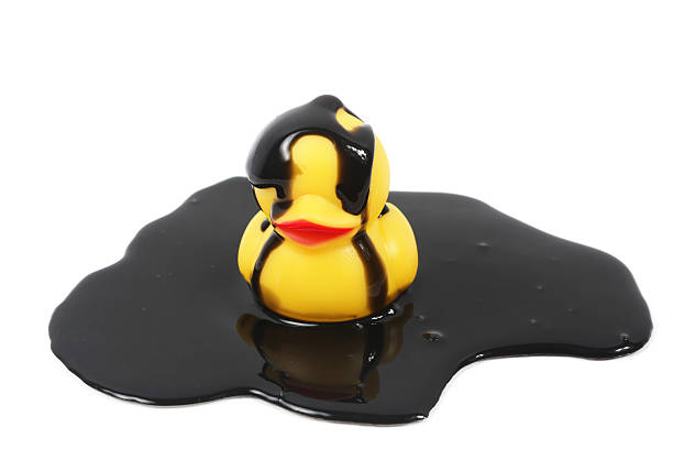 Oil slick on animal