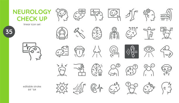 ilustrações de stock, clip art, desenhos animados e ícones de neurology check up icon. thin line illustrations of brain mri and ct scan mental health, reflex tests, neurological examinations, eeg monitoring, cognition functions. isolated outline vector signs. - sistema nervoso humano