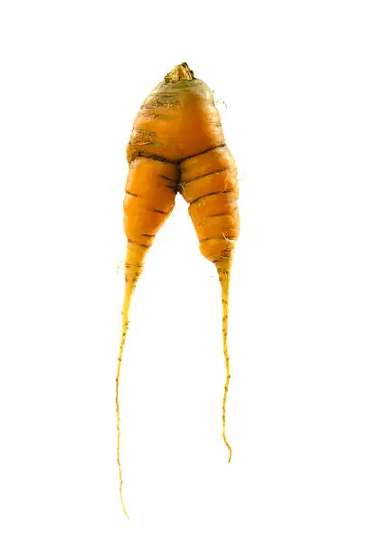 Misshapen Carrot isolated on white background.