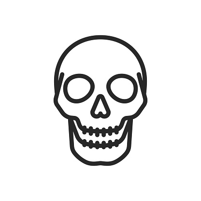 Human Skull Icon. Thin Linear Illustration for Medical Anatomy, Forensic Study, and Archaeological Research. Isolated Outline Vector Sign.