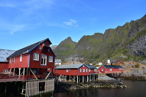 Des maisons de pêcheurs en bois rouge appelées des rorbus, dans le village de Å, sur les îles Lofoten, en Norvège