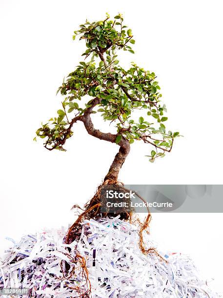 Reciclaje Foto de stock y más banco de imágenes de Arreglo - Arreglo, Blanco - Color, Cambio climático