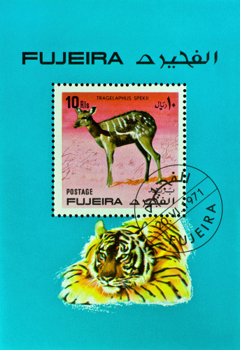 motive stamp with drawing of tiger thinking about his next bootie. From 1971 Fujeira - one of the seven arab emirates VAE