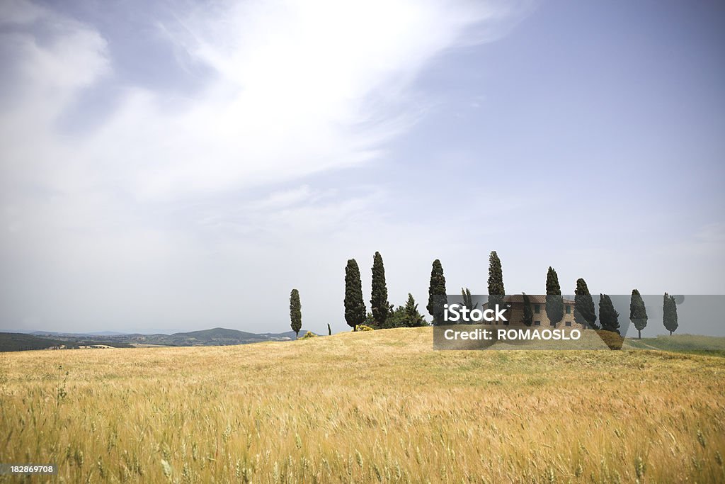 Val d'Orcia Masseria con cypresses e campo, Toscana - Foto stock royalty-free di Ambientazione tranquilla