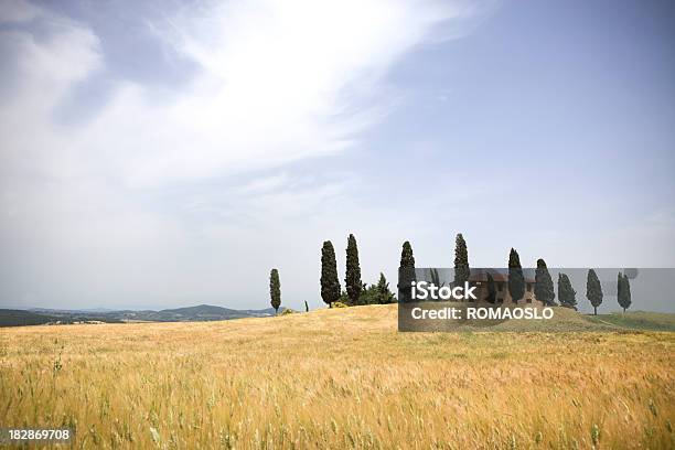 Val Dorcia Masseria Con Cypresses E Campo Toscana - Fotografie stock e altre immagini di Ambientazione tranquilla