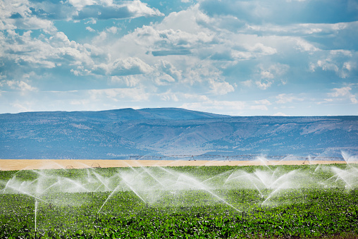 Irrigation equipment watering a farm field. Agricultural water sprinkler technology spraying plant crops in a rural landscape of Idaho, USA
