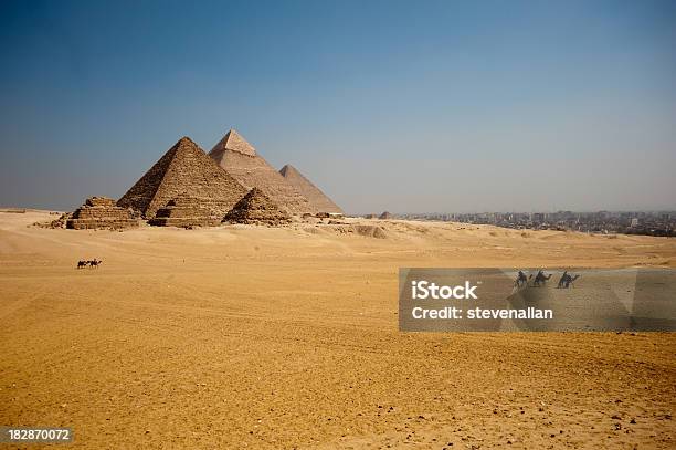 Foto de Camelos No Planalto As Grandes Pirâmides De Gizé e mais fotos de stock de Pirâmide - Estrutura construída - Pirâmide - Estrutura construída, Camelo - Camelídeos, Deserto