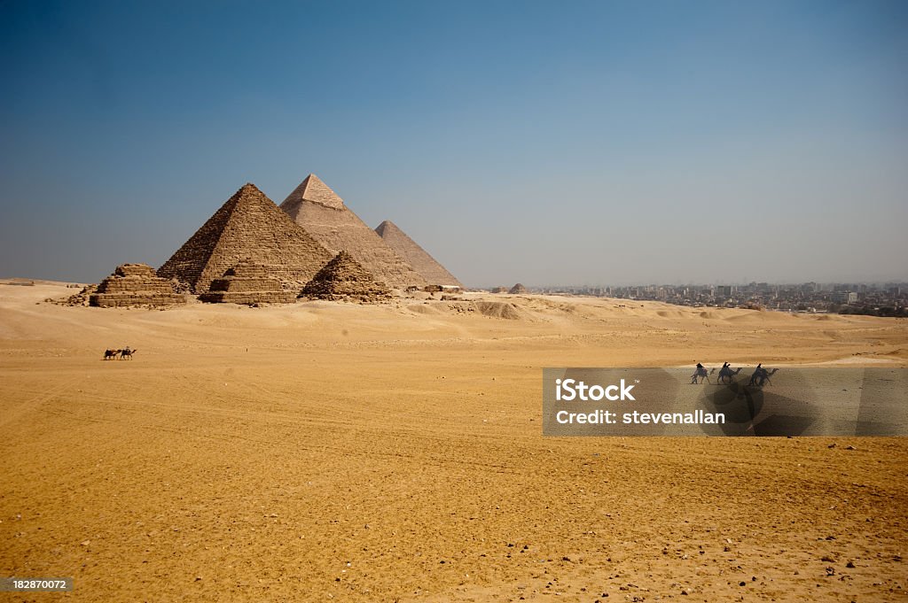 Верблюдов на Плато Великие пирамиды Гизы - Стоковые фото Пирамида роялти-фри