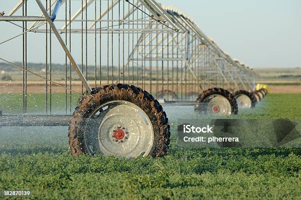 Farm Equipamento De Irrigação - Fotografias de stock e mais imagens de Agricultura - Agricultura, Ao Ar Livre, Campo agrícola