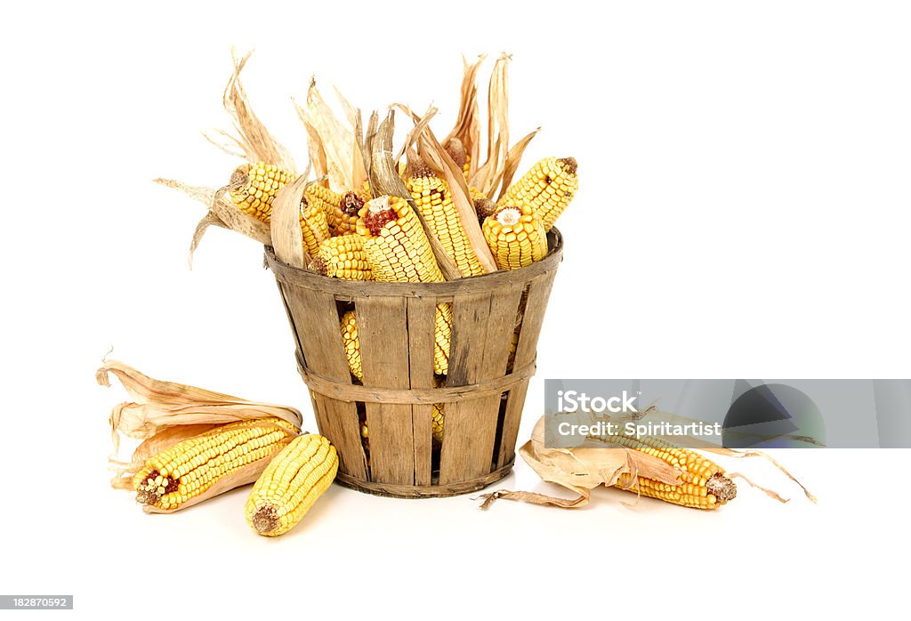 Corn Cobs In einem Korb - Lizenzfrei Alt Stock-Foto