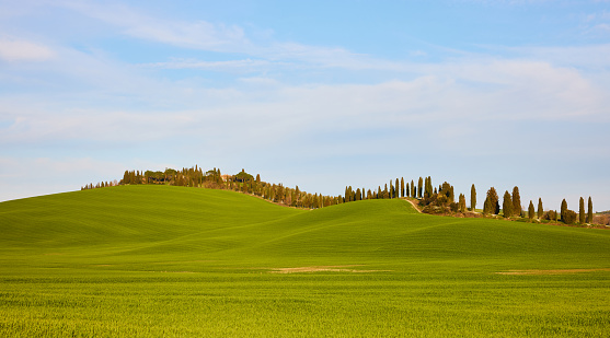 An agricultural field with blue sky in Tuscany near Siena