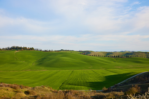 An agricultural field with blue sky in Tuscany near Siena