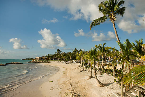 istock Tropical Beach Scene with Palm Trees, Punta Cana, Dominican Republic 182870844