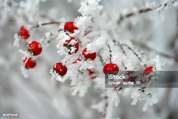 Photo libre de droit de Glace De Fruits Rouges banque d'images et plus d'images libres de droit de Hiver - Hiver, Baie - Partie d'une plante, Rouge