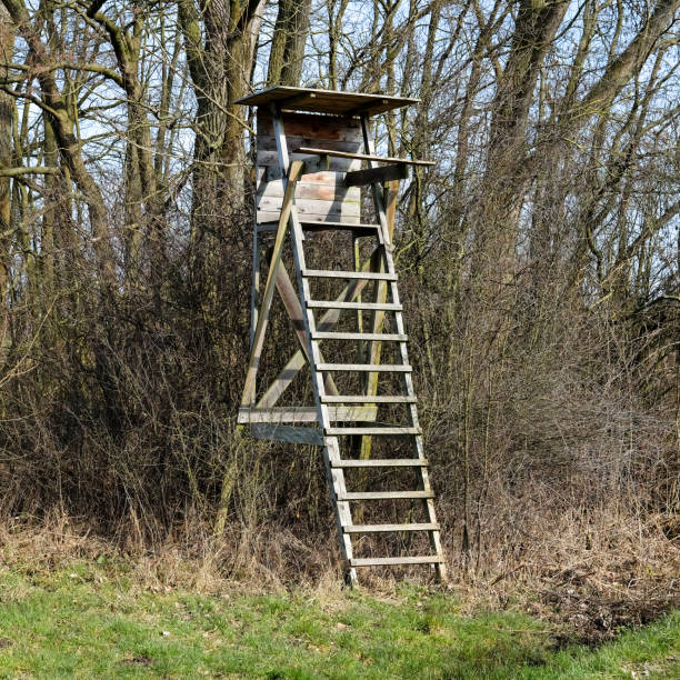 Wooden tree stand for a hunter, environmentalist or ornithologist in the forest during winter or spring, portrait format