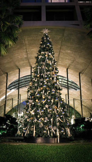 istock Decorated christmas tree in the night of December. 1828714304