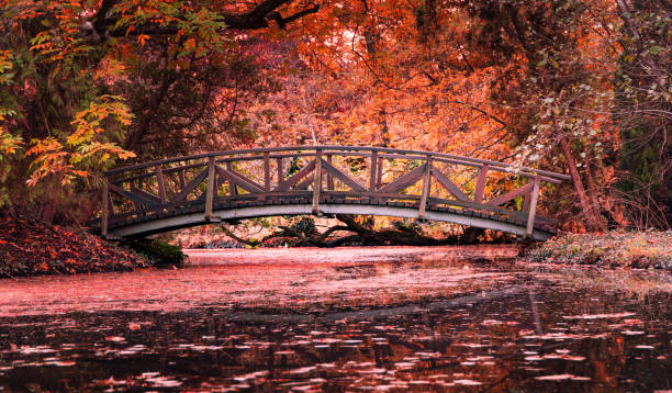 istock Autumn in the arboretum 1828714822