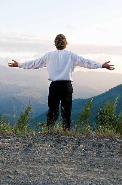 istock Businessman looking to sky 182872278