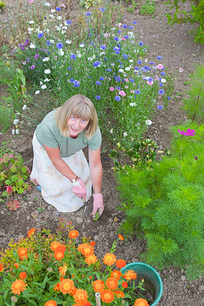 istock Middle-aged Lady In The Flower Garden 182872509