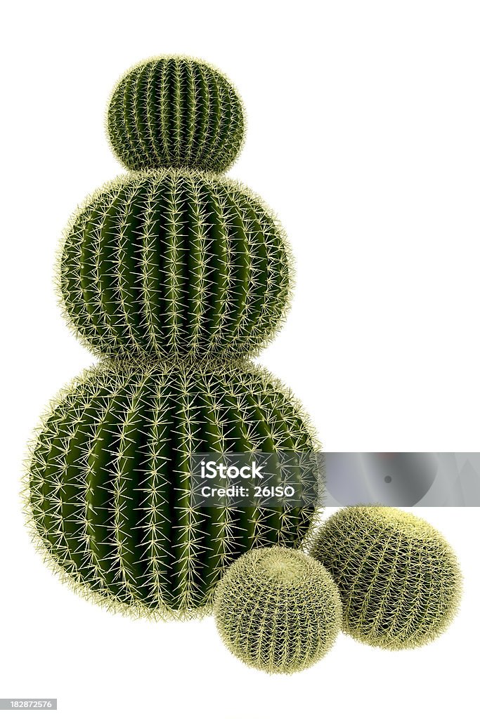 Cactus árvore Render isolado no fundo branco puro (XXXL - Foto de stock de Cacto royalty-free