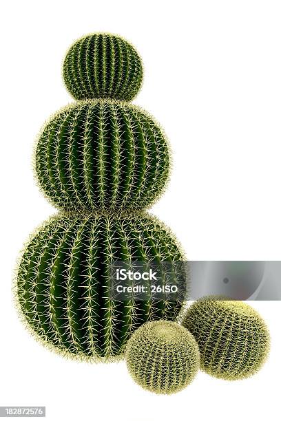 Foto de Cactus Árvore Render Isolado No Fundo Branco Puro Xxxl e mais fotos de stock de Cacto