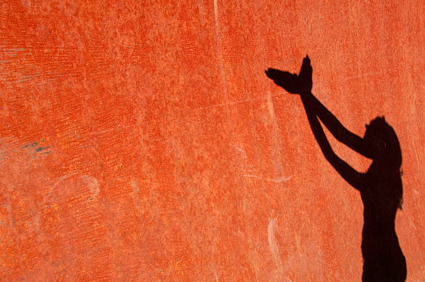 istock Feminine shadow of a woman 182872923