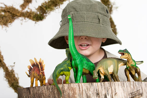 Young boy wearing safari outfit playing with toy dinosaurs  stock photo