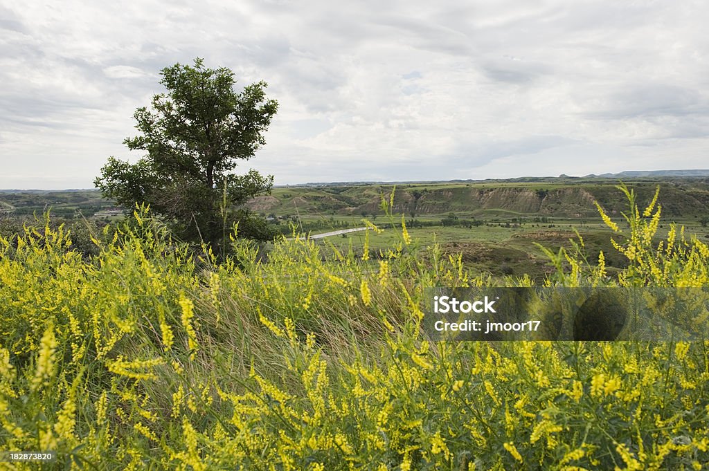 Medora Blick auf das Tal - Lizenzfrei Bildhintergrund Stock-Foto