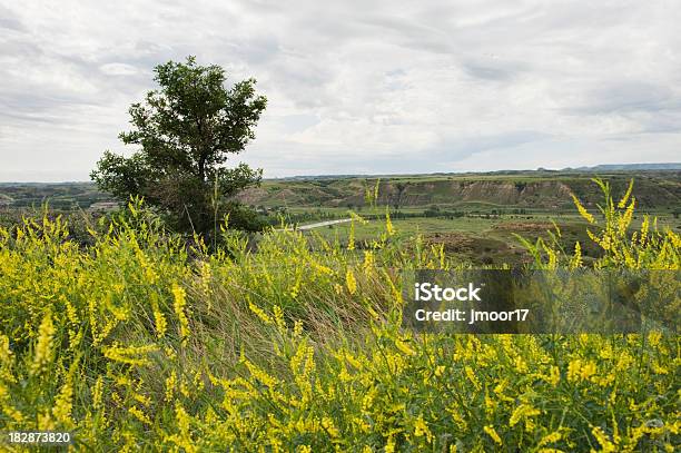 Vale Medora Vistas - Fotografias de stock e mais imagens de Dakota do Norte - Dakota do Norte, Distante, EUA