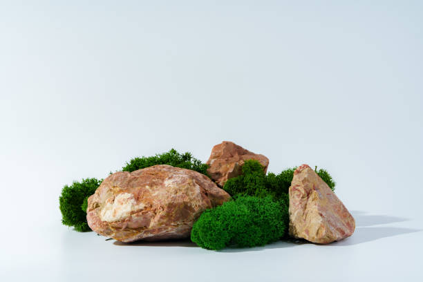 istock Granite stones with moss studio shot close up 1828741285
