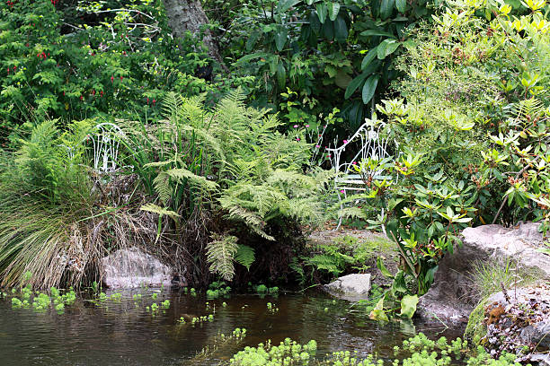 istock Pond and Outdoor Seating 182874315