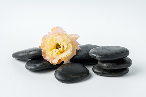 Spa stones and flowers on the white background close up