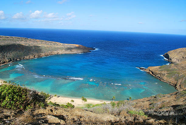 vista da baía de hanauma, oahu, havaí - hanauma bay hawaii islands oahu bay - fotografias e filmes do acervo