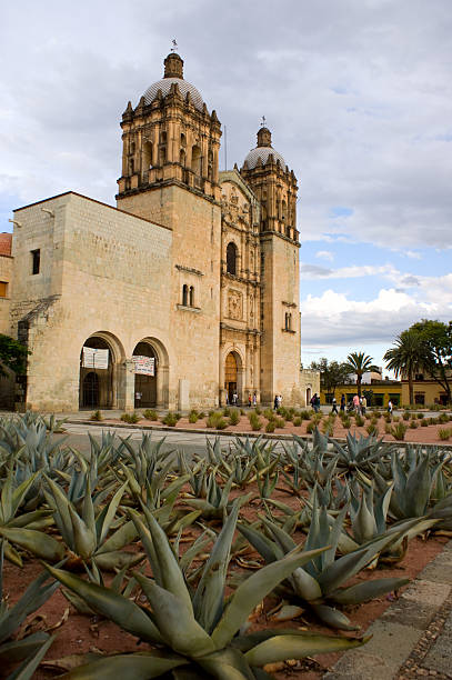 istock Agave plants and Old Church in Oaxaca 182875460