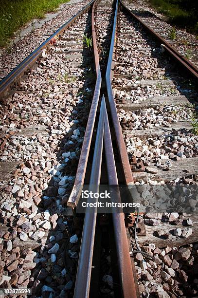 Attraversamento Ferroviario - Fotografie stock e altre immagini di A forma di V - A forma di V, A forma di croce, Autunno
