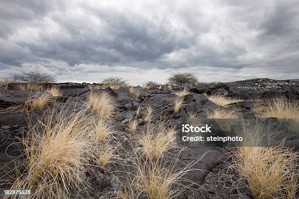 Panorama De Lava Vulcânica - Fotografias de stock e mais imagens de Ao Ar Livre - Ao Ar Livre, Big Island - Ilhas do Havai, Conduta de Ar