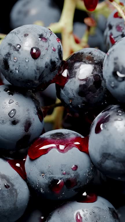 Vertical video. Black grape clusters with red juice dripping from them, close-up, on an isolated black background.