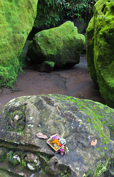 istock Bali Green Moss Rock Garden 182876080