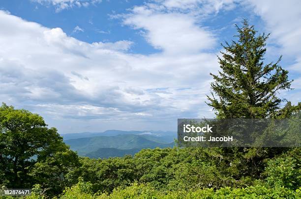 Foto de Montanhas Blue Ridge e mais fotos de stock de Appalachia - Appalachia, Arbusto, Azul