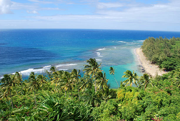 istock Kee Beach in Kauai, Hawaii. 182876519