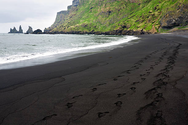 istock Footprints On Black Beach Of Vik In Iceland 182877040