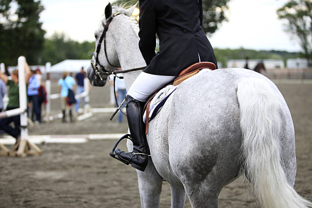 istock Horse and Rider 182877132