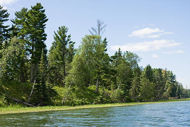 istock Forest and Lake at Itasca State Park Minnesota 182877188
