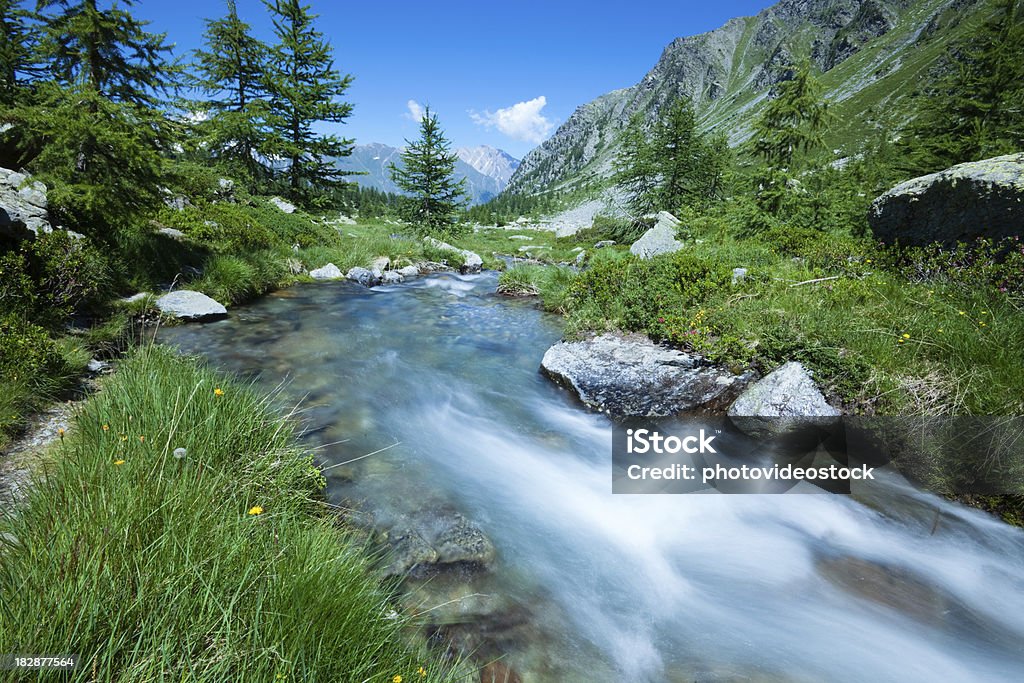 Alpi italiane panorama con fiume - Foto stock royalty-free di Abete