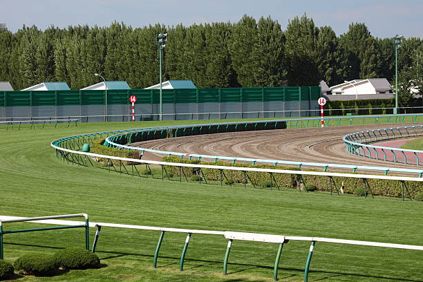 Horse Racing Track