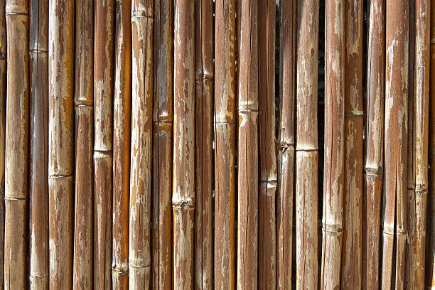 istock Bamboo Fence Close Up 182878423