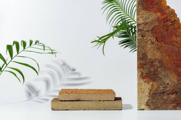 istock Granite stone with branch green leaf on studio background 1828785135