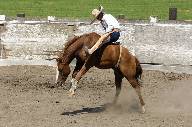 istock Mexican Cowboy Bronco Riding in Rural Rodeo Arena 182879497