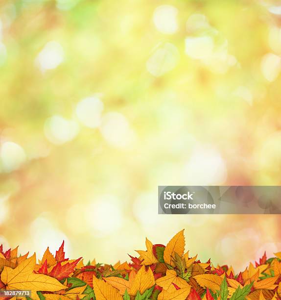 Jesień Liście - zdjęcia stockowe i więcej obrazów Bez ludzi - Bez ludzi, Brązowy, Czerwony